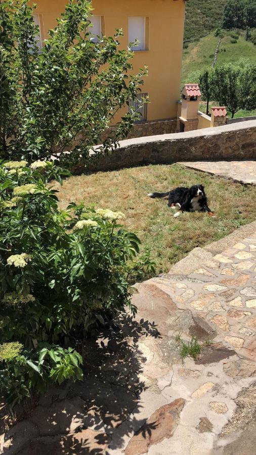 Pensjonat Casa Sierra de Gredos Navasequilla Zewnętrze zdjęcie