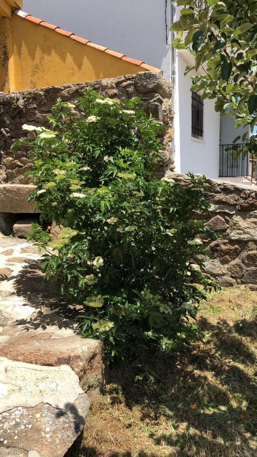 Pensjonat Casa Sierra de Gredos Navasequilla Zewnętrze zdjęcie