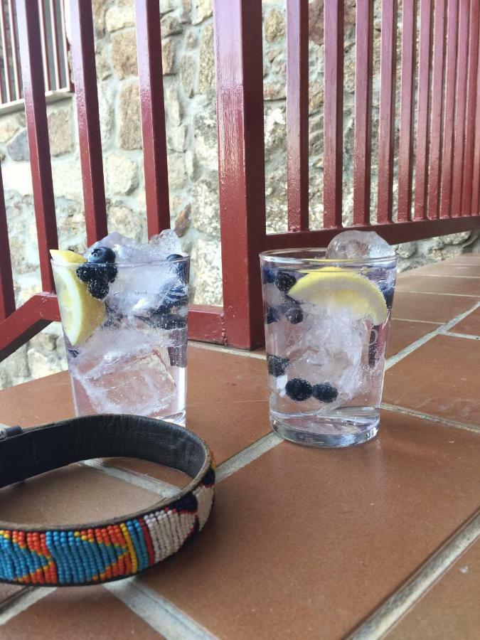 Pensjonat Casa Sierra de Gredos Navasequilla Zewnętrze zdjęcie