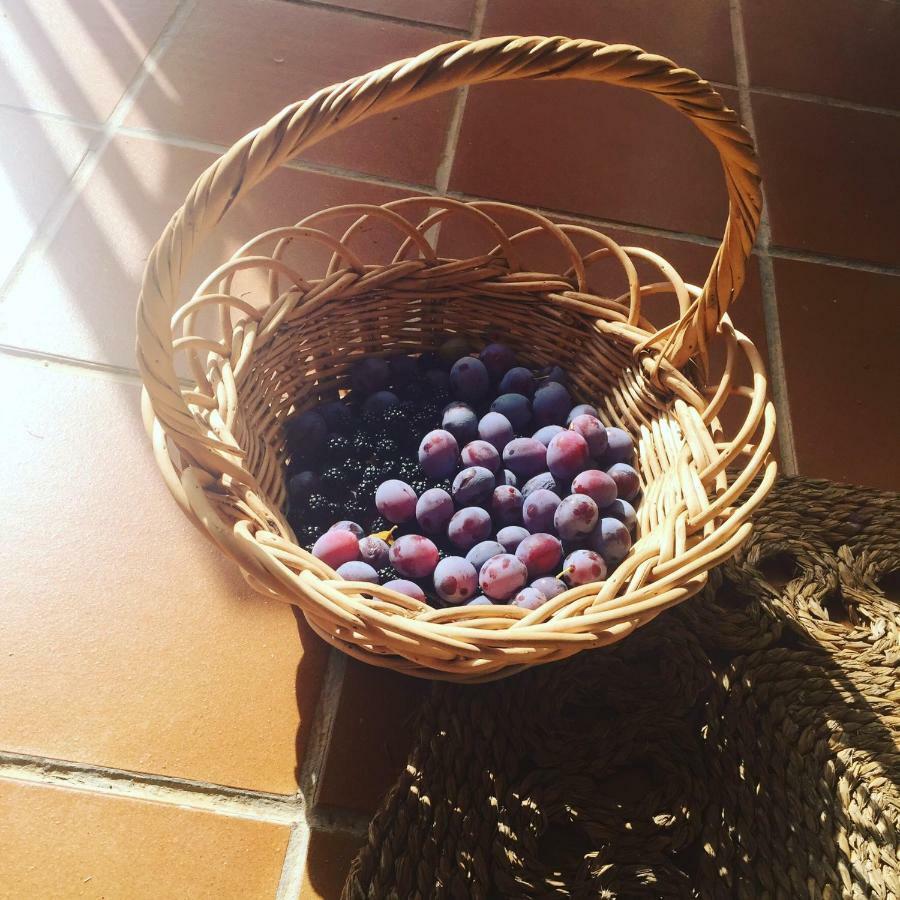 Pensjonat Casa Sierra de Gredos Navasequilla Zewnętrze zdjęcie