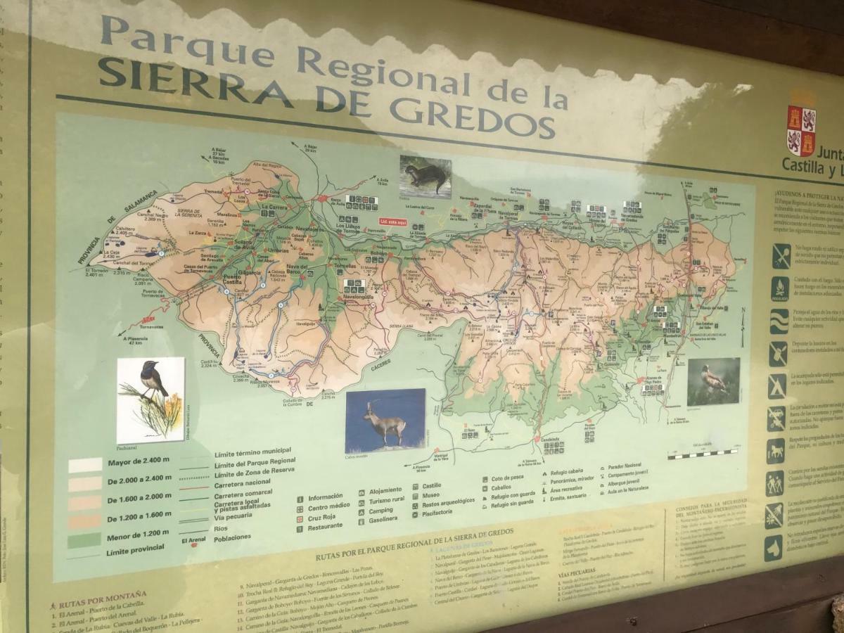 Pensjonat Casa Sierra de Gredos Navasequilla Zewnętrze zdjęcie